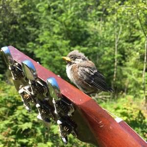 Meet your Posher, Keira